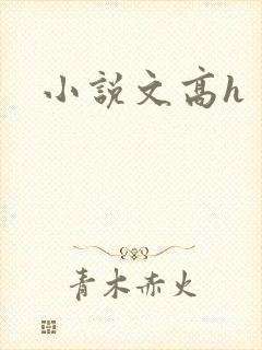 小说文高h