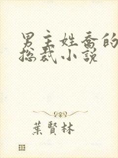 男主姓乔的霸道总裁小说