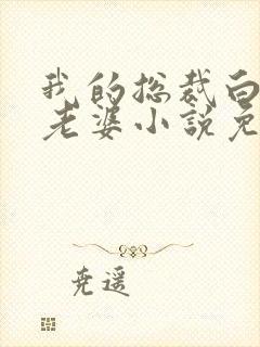 我的总裁白富美老婆小说免费阅读