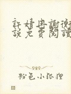 许婧冉谢衡远小说免费阅读最新章节封面