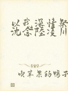 以我深情祭岁月沈念陆凌川