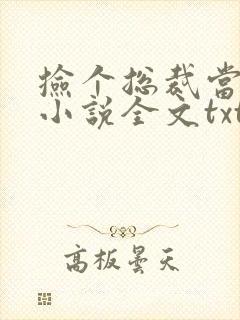 捡个总裁当老婆小说全文txt下载封面