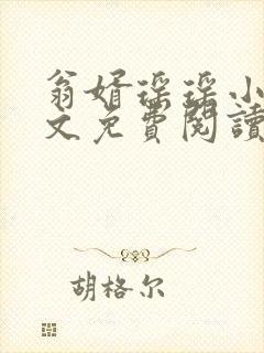 翁婿瑶瑶小说全文免费阅读最新章节封面