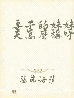 妻子的妹妹的丈夫怎么称呼封面