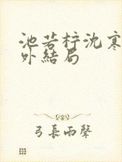 池若柠沈寒声番外结局