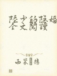 陆少的隐婚罪妻全文阅读