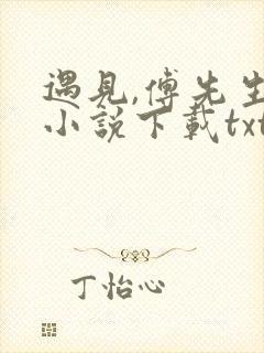 遇见,傅先生 小说下载txt