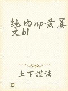 纯肉np黄暴h文bl