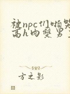 被npc们啪哭高h肉双男主小说