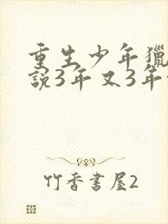 重生少年猎美小说3年又3年txt