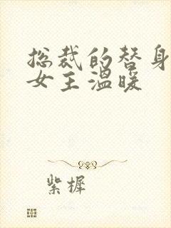 总裁的替身前妻女主温暖