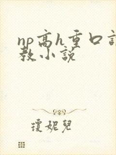 np高h重口调教小说