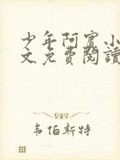 少年阿宾小说全文免费阅读