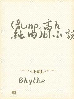 (乱np,高h,纯肉)bl小说封面