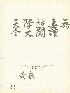 天降神妻无删减全文阅读