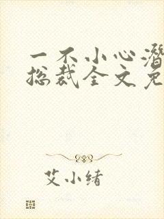 一不小心潜了个总裁全文免费阅读