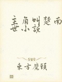 主角叫楚南的末世小说封面