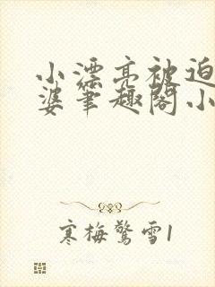 小漂亮被迫当老婆笔趣阁小说最新章