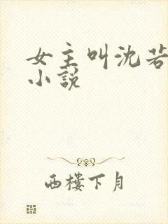 女主叫沈若初的小说