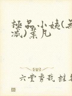 极品小姨(无删减)叶凡