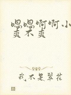 嗯嗯啊啊小骚货爽不爽封面