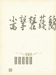 小说校花的贴身高手在线阅读全文