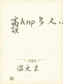 高hnp多人小说