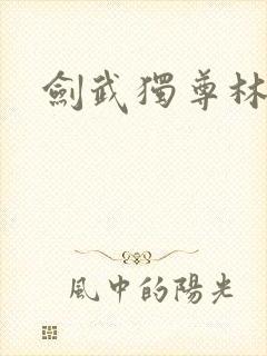 剑武独尊林尘