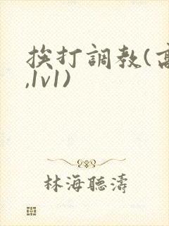 挨打调教(高h,1v1)封面