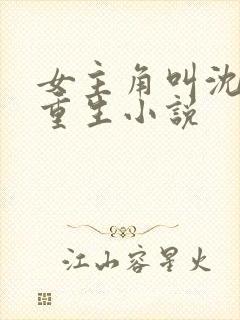 女主角叫沈晚的重生小说