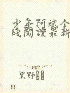 少年阿斌全文在线阅读最新章节免费阅读封面