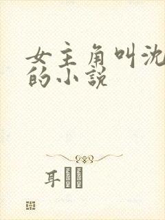 女主角叫沈知夏的小说