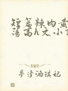 短篇辣肉黄辣放荡高h文小说