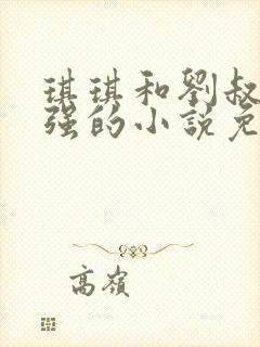 琪琪和刘叔王小强的小说免费阅读全