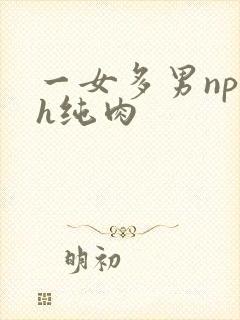 一女多男np高h纯肉