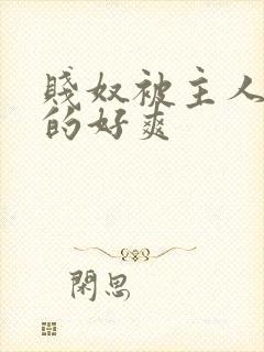 贱奴被主人调教的好爽