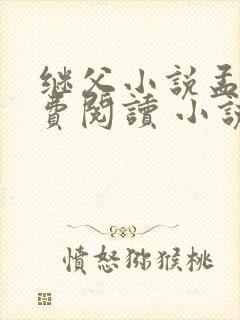 继父小说孟还免费阅读 小说封面