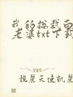 我的总裁白富美老婆txt下载