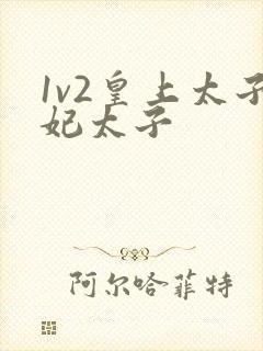 1v2皇上太子妃太子