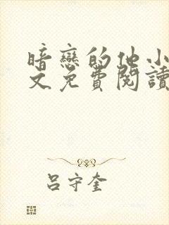 暗恋的他小说全文免费阅读封面