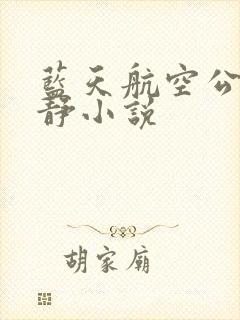 蓝天航空公司王静小说