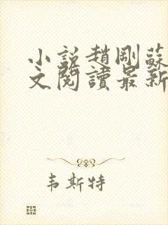 小说赵刚苏柔全文阅读最新章节封面