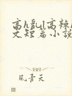 高h乱l高辣h文短篇小说男男