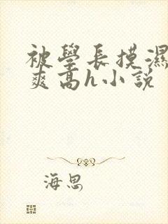 被学长摸湿奶好爽高h小说