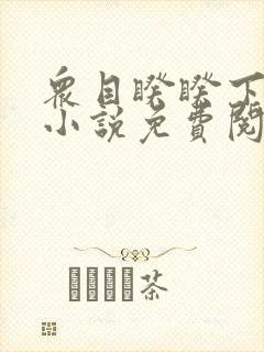 众目睽睽下的事小说免费阅读最新章节列表