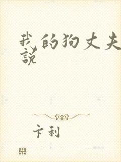 我的狗丈夫,小说