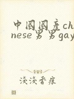 中国国产chinese男男gay gay网站
