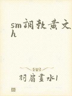 sm调教黄文高h