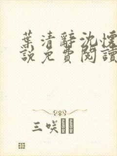 叶清辞沈怀瑾小说免费阅读最新章节