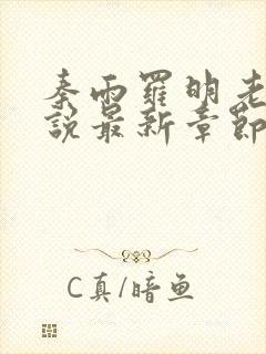 秦雨罗明老旺小说最新章节更新